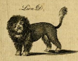 Alexander Bell, Raffigurazione di Lion Dog – 1750