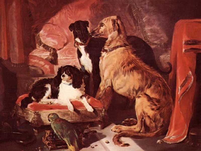 Cani della Regina Victoria e pappagallo, Sir Edwin Landseer, 1834