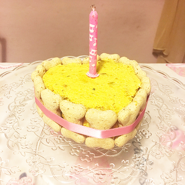 Torta di compleanno per cani con zucca e yogurt - Il carlino a