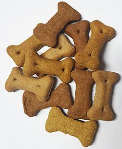 biscotti per cani carlino